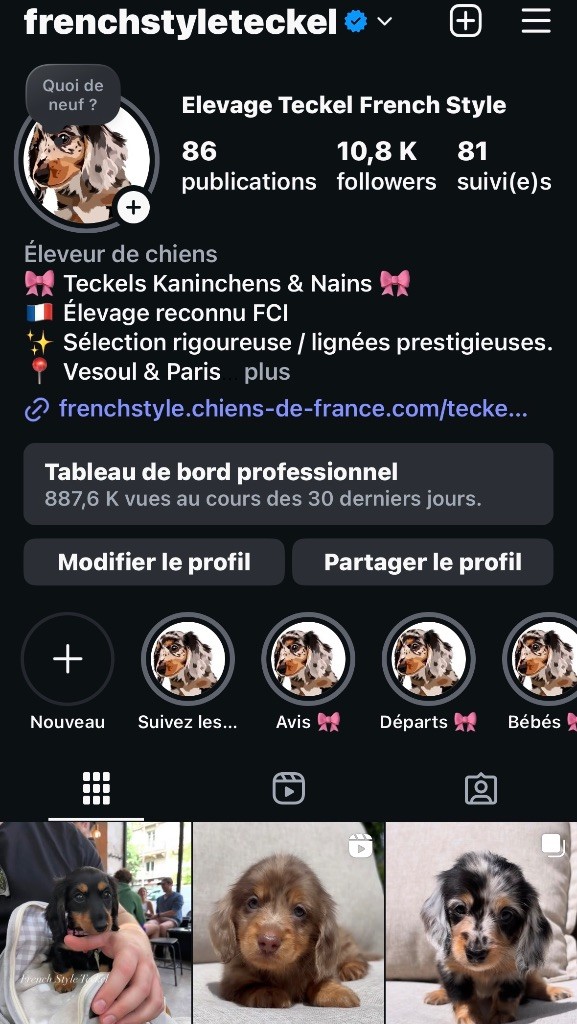 Suivez nous sur Instagram ! 